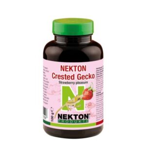 NEKTON Crested Gecko Strawberry pleasure - Image 1